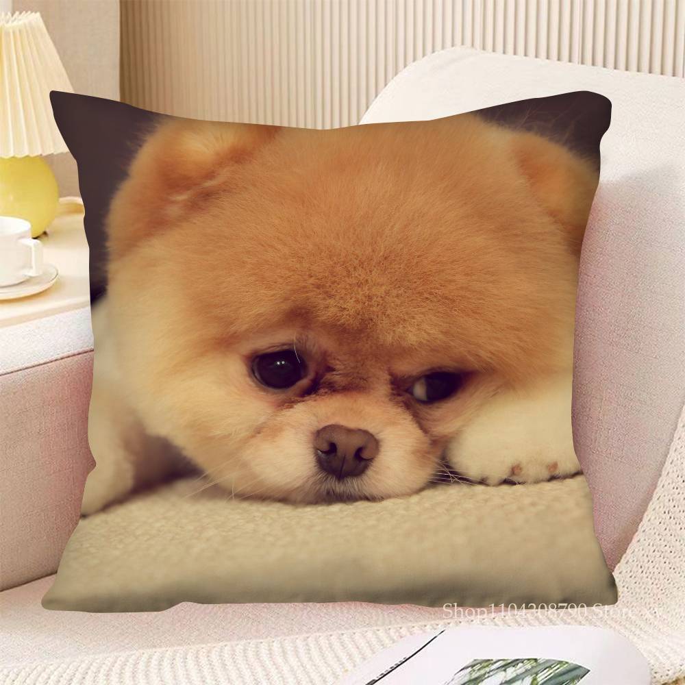Poszewka na poduszkę dla psa rasy szpic miniaturowy Modna kwadratowa poszewka na poduszkę Sypialnia Sofa Pokój Dekoracja Ins Wypoczynek