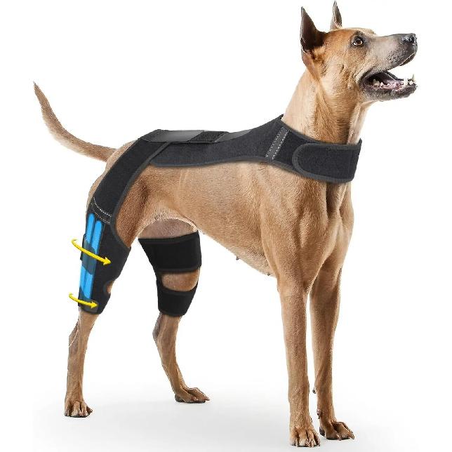 Dog Knee Braces for Back Leg