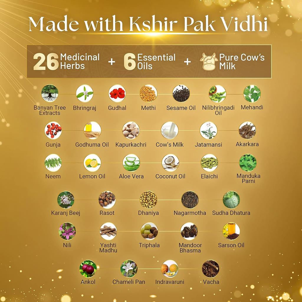 Ayurvedic Regain 2 Step Hair Growth Kit I Klinicky ověřeno | zvládá vypadávání vlasů I usnadňuje růst vlasů I Natural I Ájurvédská certifikace