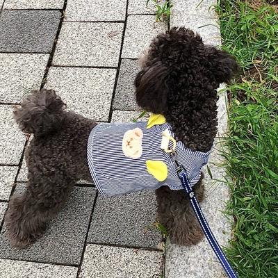 Melting Look Dog Harness Clothes Spring Summer Cat Dog Vest, Black Stripe, 2 Pieces