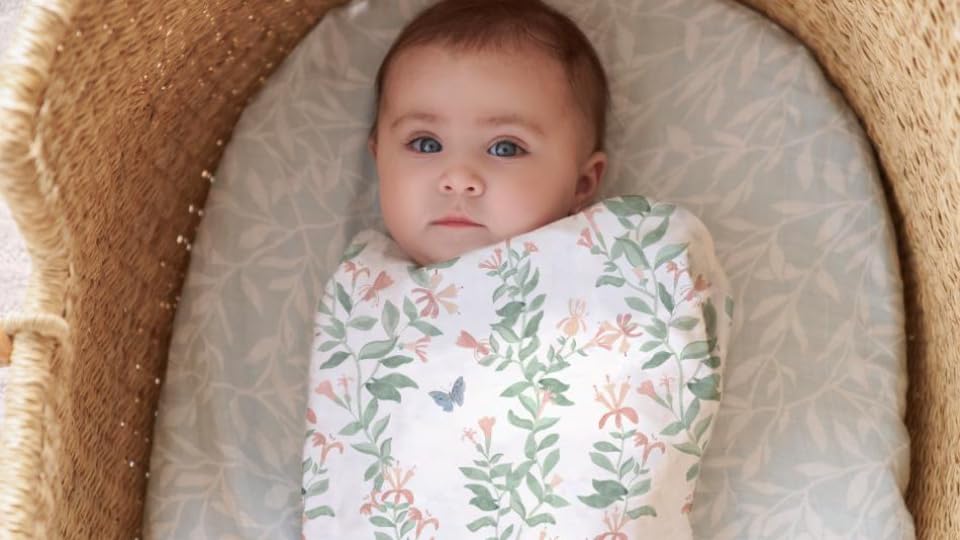 Aden Anais Essentials Swaddle Butterfly Garden 2 Pieces +