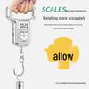 Portable High-Precision Digital Scale (CN Version)
