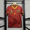 Cameroon Home and Away Jerseys 2024 Custom World Cup National Team Soccer Shirts Short Sleeve Tops Cross-border Delivery Fan Edition