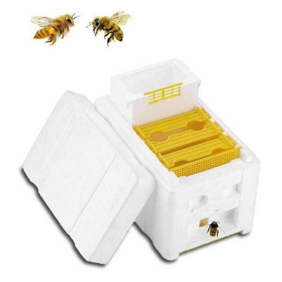 Beekeeping King Box Skrzynka na zapylanie pszczelarskie Ramki piankowe Zestaw sprzętu pszczelarskiego Ule pszczele do ogrodu