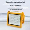 Lishen Taili 100W LED Explosion-Proof Floodlight