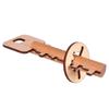 Developmental Toys 3D Wooden Wooden Puzzle IQ Unlocking Toys Intelligent Unlock Toy Thinking Games