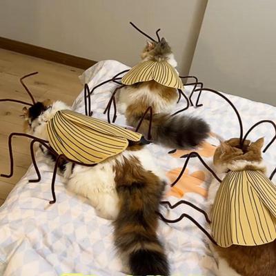 Κοστούμι Φτερά Κατσαρίδας Γάτας DIY Κιτ Ρούχων Κατσαρίδων Γάτας Αστεία Ενδύματα Μεταμφίεσης Κατοικίδιου Χειροποίητη Στολή Cosplay Γάτας για Πάρτι