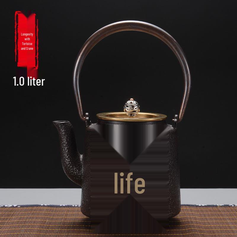 Hand-Forged Japanese Cast Iron Teapot for Gongfu Tea