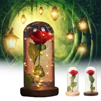 Buy Disney Beauty And The Beast Rose At Affordable Price From 4 Usd Best Prices Fast And Free Shipping Joom Buy Disney Beauty And The Beast Rose At Affordable Price From 4 Usd Best Prices Fast And Free Shipping Joom