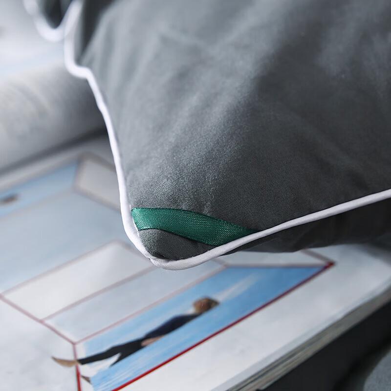 LANGSHA Graphene Winter Quilt