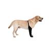 Dog Socks To Prevent Licking Paws with Anti-Slip Bottom Healings Boot & Paws Protectors Dog Sleeve Shoes for Lickings
