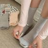 Women's Lace Mesh Cotton Mid-Calf Socks - Breathable, Thin, Trendy Spring/Summer Arrival