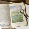 [USED] Rare American Vintage Antique Wild Plant Encyclopedia