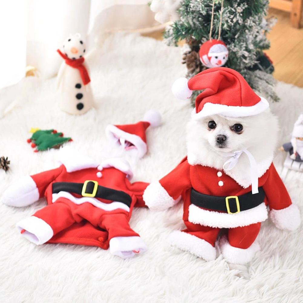Pet Xmas Santa Suit With Cap Easy To Wear, Adjustable Design. For Xmas Party