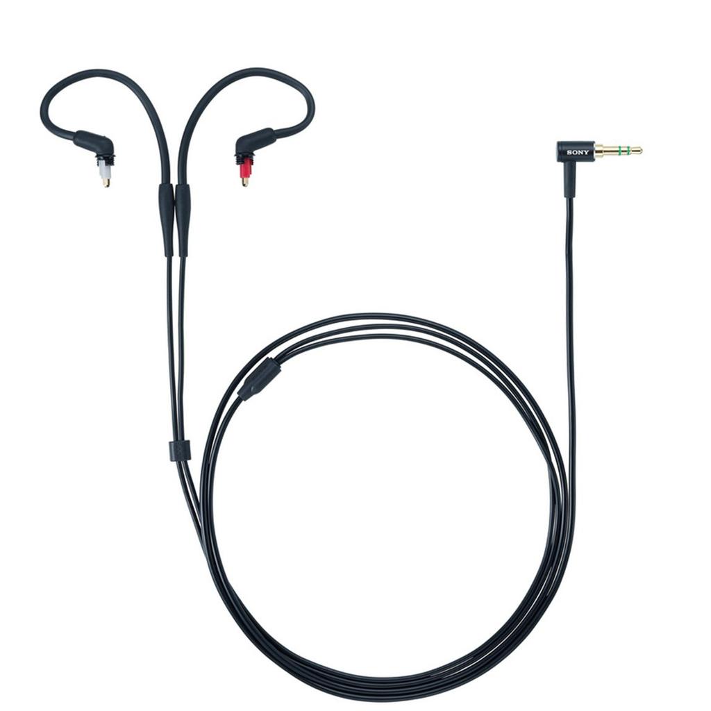 Sony MDR-EX1000 In-Ear Earphones with Detachable Cable