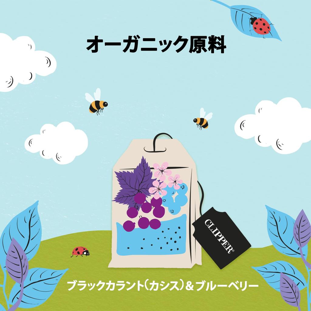 Clipper Organic Herbal Tea Blackcurrant Blueberry 20P &