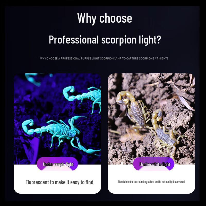 SHENYU Dual-Source UV/LED Rechargeable Flashlight
