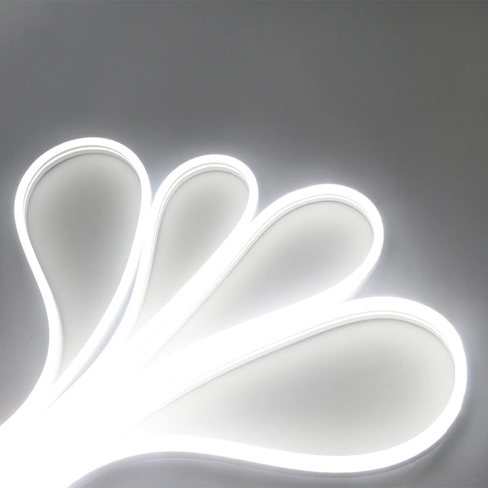 YongMing LED Neon Light, White, 2835, 600 LEDs, 5m Long, Waterproof, for Indoor and Outdoor Lighting, Decorative, 12V, Waterproof, Cuttable, 1 Piece