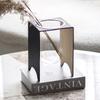 Geometric Art Metal, Leather Weaving, Glass Vase, Hydroponic Vase, Flower Arrangement, Glass Container, Living Room Decoration