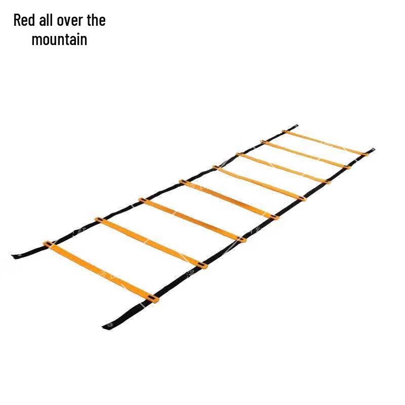 Agility Training Ladder