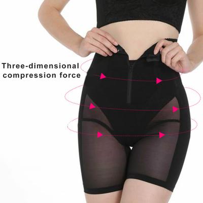 High Waist Shaping Pants Sexy See-Through Mesh Zippered Easy Wear Hip Tummy Waist Slimming Shapewear