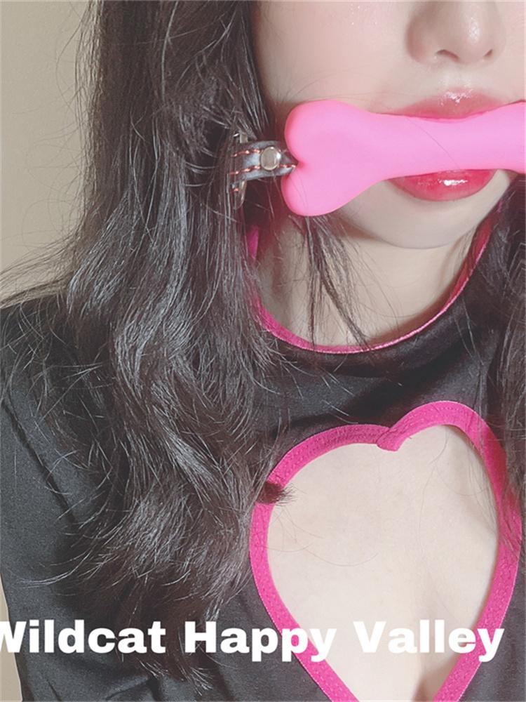 1pc Black Lace Eye Mask Blindfold & Semi-Transparent Veil Patterned With Random Lace, Sexy Lingerie Accessory Temptation BDSM