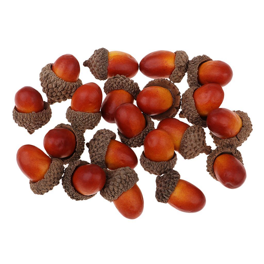 100Pcs Natural Acorns Real Acorns Caps Home DIY Christmas Natural Acorn