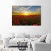 Canvas print, Meadow of red poppies in the sun