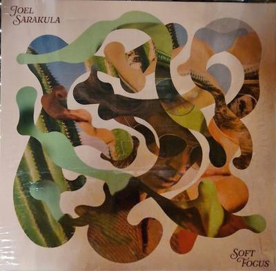 LP Schallplatte JOEL SARAKULA - Soft Focus LEGO333VL Légère Recording 2024 Deutschland Rock