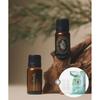 Essenherb Essenherb Tea Tree 100 Oil 10ml X 2ea  Free Tea Tree Patch 
