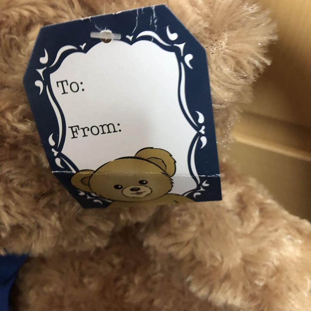 [USED] Teddy Bear, Bear, Ribbon, Stuffed Toy