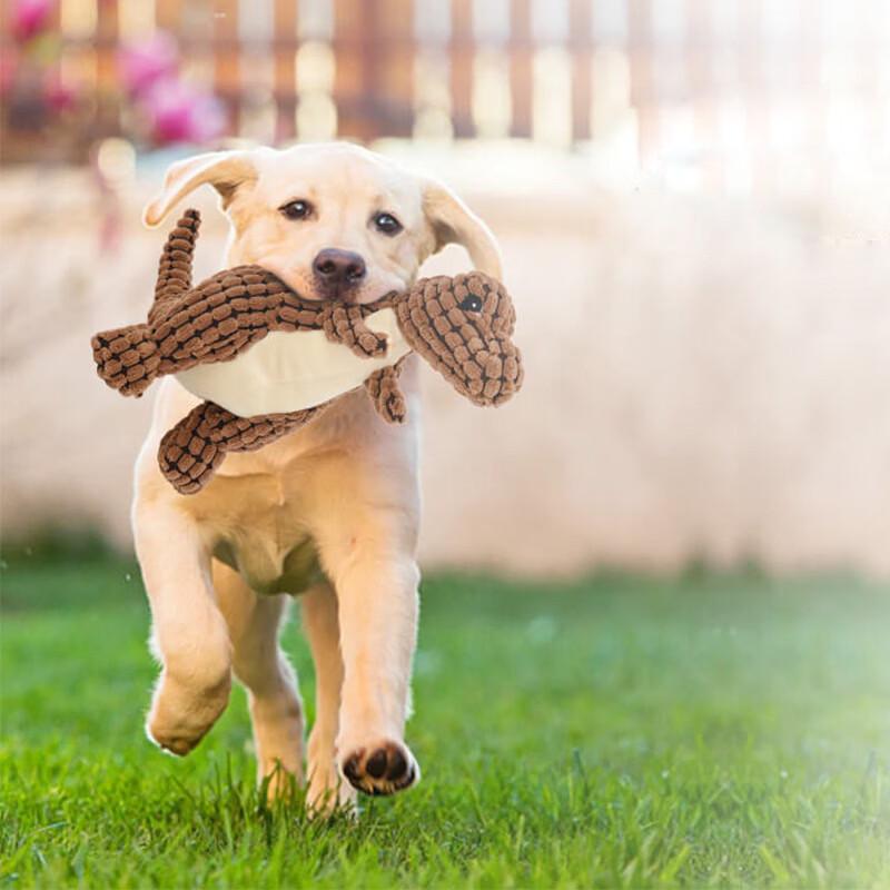 Hoopet Squeaky Plush Dinosaur Dog Toy