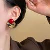 Retro Leopard Print Round Stud Earrings for Women Girls 2026 New Trendy Geometric Circular Earrings Wedding Jewelry Gifts