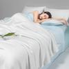 A-Class Dual Color Cool Ice Silk Summer Quilt, Washable Summer Single Double Bed Quilt Set for Student Dormitory