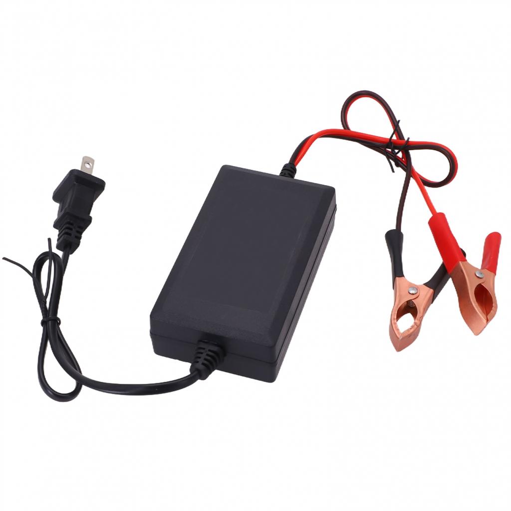 Incredible Value and Effective 12V Car Battery Charging Solution