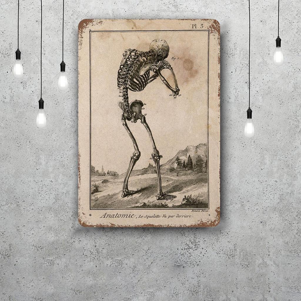 skeleton Vintage Tin Sign Home Decor Wall Decor Art Wall Mural Room Decoration Decor Retro Metal Sign Plate Bar Posters