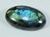 54Cts.Natürlicher Labradorit Multi Flash Oval Cabochon Lose Edelstein 19X33X9MM GK-39