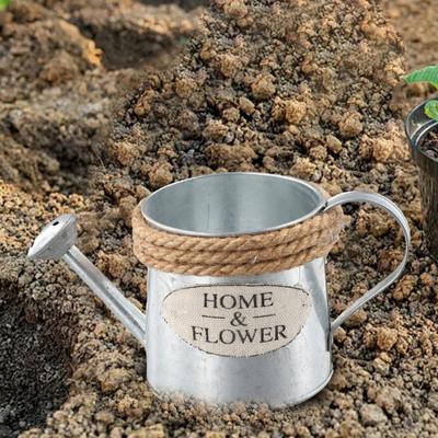 1pc Retro Water Bucket Sprinkler Pot Iron Flower Pots Metal Vase Home Garden Decorations Vintage Watering Can