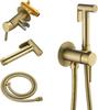 Brushed Gold Hot and Cold Bidet Sprayer Attachment Kit Pressure Adjustable T-valve Brass Hand Held Bidets Shattaf
