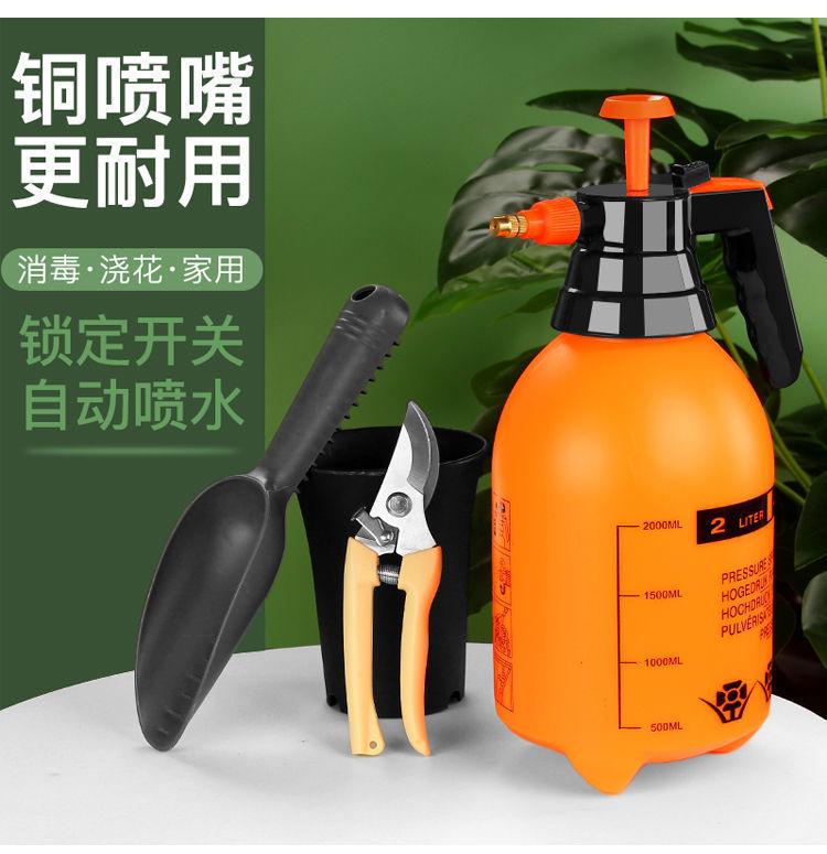 Manual Air Pressure Watering Spray Can Watering Kettle Watering Kettle Gardening Tool Sprayer Small Spray Kettle Disinfection Shower