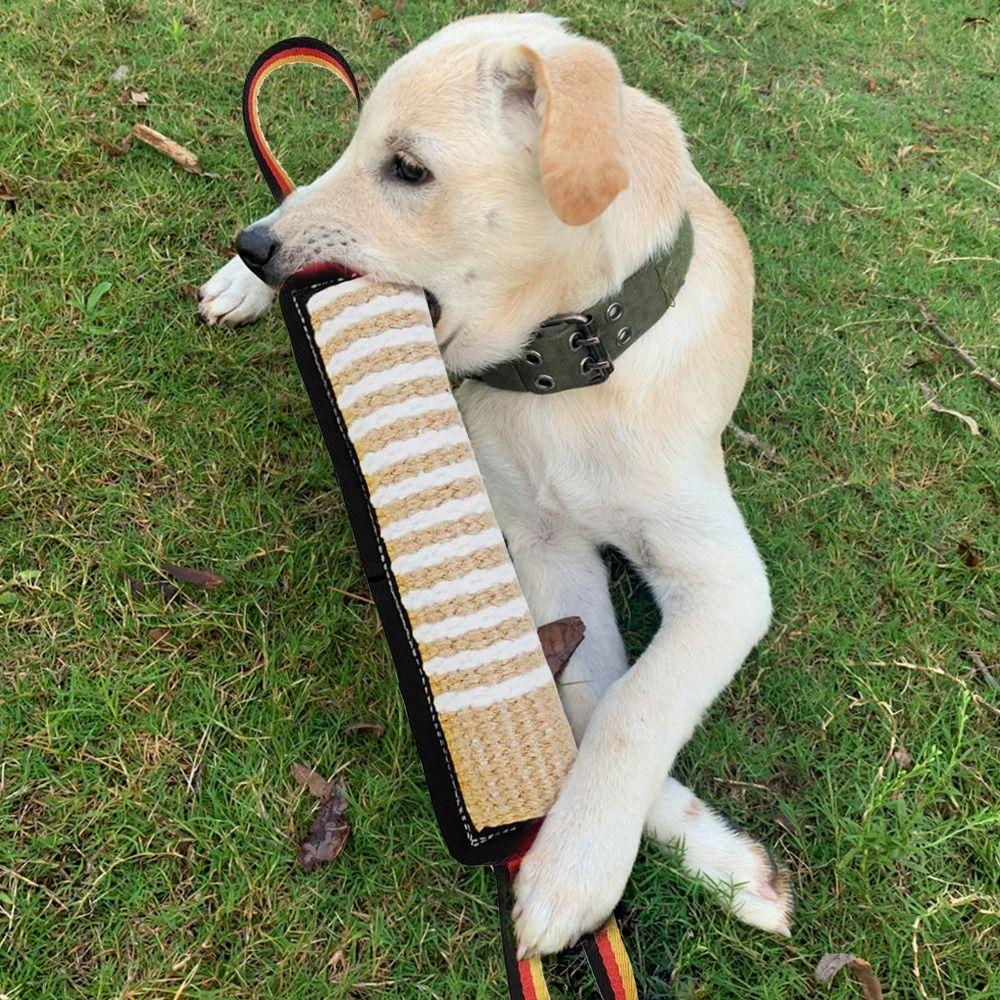 

Lasting Dog Tug Toy with 2 Handles Squeaky Dog Toys Durable Interactive Toy for M/L Dogs B4