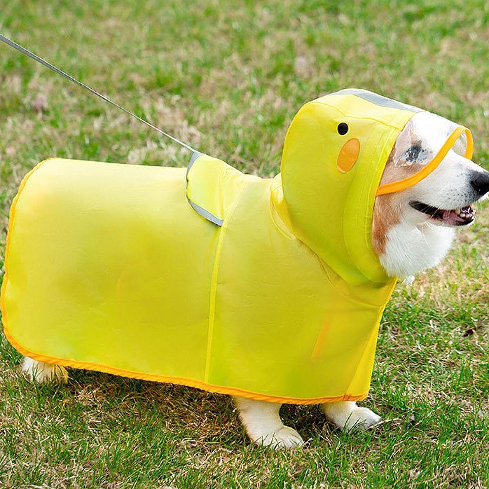 

Dog Rain Gear with Harness Access, Jacket for Small Dogs S