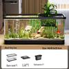 Acuario Casero Popular: Tanque de escritorio ecológico para tortugas y peces dorados con tapa
