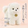 Hyack Pomeranian Plush Toy Dog, Cute Dog Plush, Huggable Animal Pillow, Fluffy, White [Parallel Import]