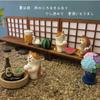 Car ornaments, Japanese cat Zakka groceries, photos, cute adorable ornaments, mini, resin crafts