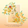 Kameyama Hanafuzei Osmanthus Low-Smoke Incense, Value Size, Approx. 220g (Approx. 500 sticks), Incen