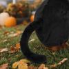Black Cat Design Goose Costume Set Seasonal Set Goose Statue Decor Porch Goose Outfit  Home Decor