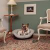 Coussin - ferplast - sofa 6 - motif 1