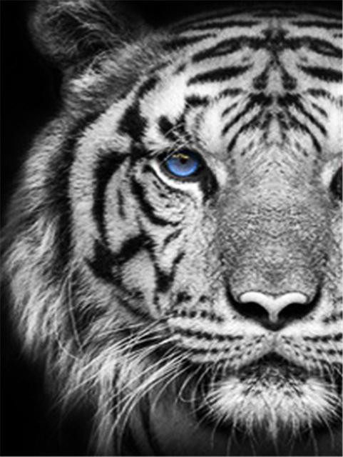 

5D Алмазная вышивка крестиком Волк Алмазная художественная картина черно-белая мозаика подарок ручной работы Full Round 20X30CM чёрный