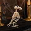 Vivid Scary Skeleton Decor Halloween Animal Skeleton, Realistic Fish Bird Spider Snake Cat Durable Model for Party, Haunted House, Graveyard